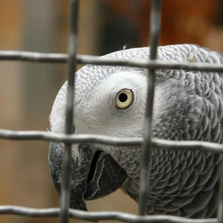 Familienfreundlich Seniorengerecht Apartment Bischofswerda