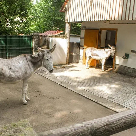 Familienfreundlich Seniorengerecht Appartement *