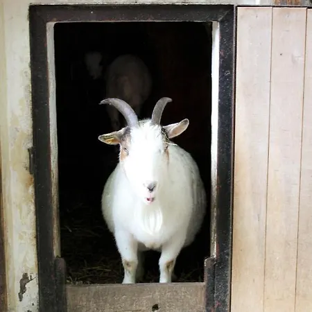 Apartment Familienfreundlich Seniorengerecht Bischofswerda