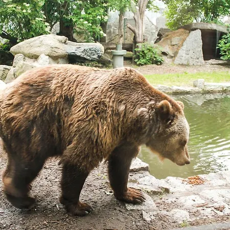 Apartment Familienfreundlich Seniorengerecht Bischofswerda