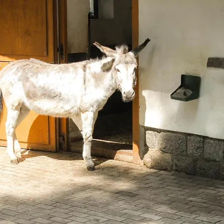 Familienfreundlich Seniorengerecht *