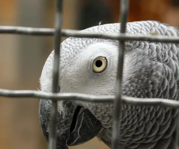 Familienfreundlich Seniorengerecht Apartment Bischofswerda