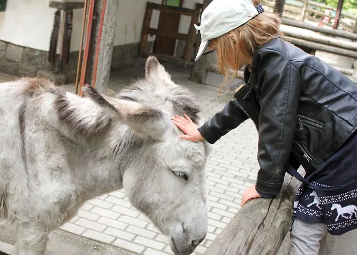 Apartment Familienfreundlich Seniorengerecht *