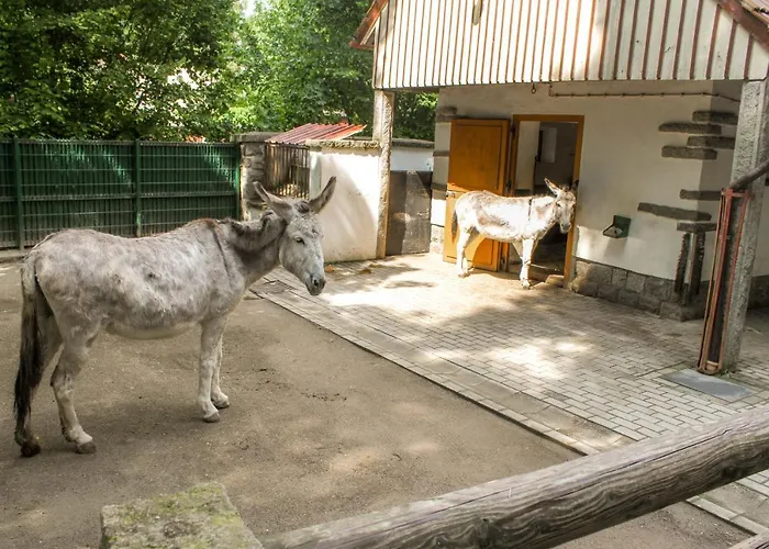 Familienfreundlich Seniorengerecht Apartment *