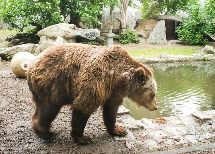 Apartment Familienfreundlich Seniorengerecht Bischofswerda