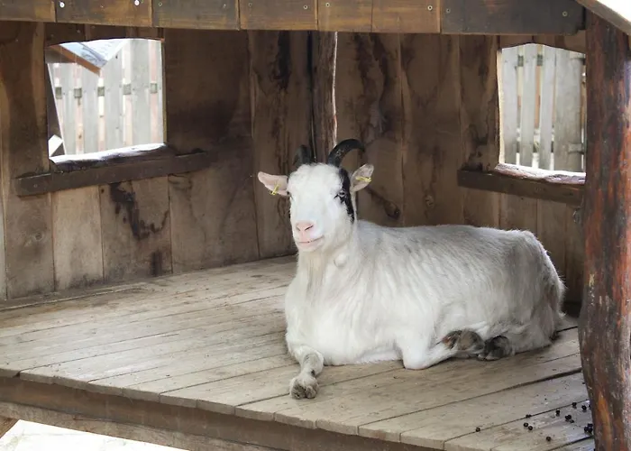 Apartment Familienfreundlich Seniorengerecht